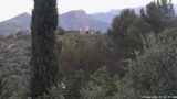 07/06/2026, 05:30