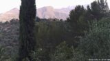 08/06/2026, 07:00