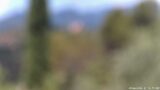 09/06/2026, 12:00