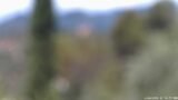 11/06/2026, 12:00