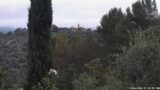14/06/2026, 05:30