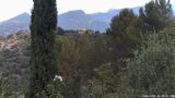 14/06/2026, 10:30