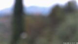 15/06/2026, 12:00