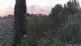 17/06/2026, 07:00