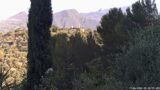 17/06/2026, 08:00