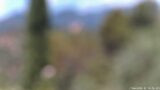 17/06/2026, 12:00