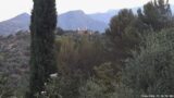 19/06/2026, 05:30