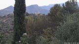20/06/2026, 05:30