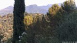 28/06/2026, 08:31