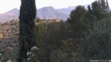 29/06/2026, 07:31