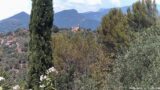 29/06/2026, 12:31