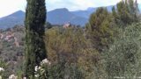 29/06/2026, 13:31