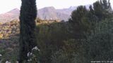 01/07/2026, 07:31