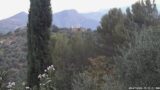 09/07/2026, 05:32