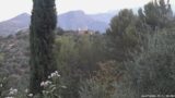 10/07/2026, 05:31