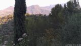 11/07/2026, 07:31
