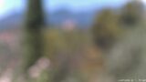 11/07/2026, 12:01