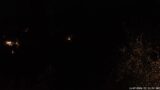 11/07/2026, 22:31