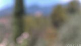 12/07/2026, 12:01