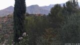 14/07/2026, 07:31