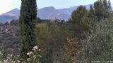 14/07/2026, 11:31
