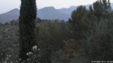 15/07/2026, 05:31