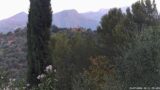 15/07/2026, 06:31