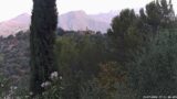 15/07/2026, 07:01