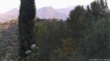 15/07/2026, 07:31
