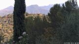 15/07/2026, 08:01
