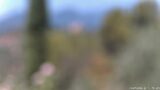 15/07/2026, 12:01