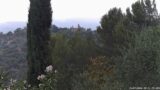 15/07/2026, 20:01