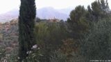 17/07/2026, 07:31