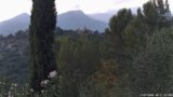 17/07/2026, 18:31