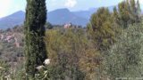 18/07/2026, 13:31