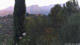 19/07/2026, 06:31