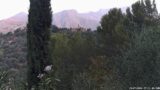 19/07/2026, 07:01
