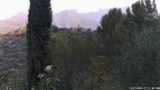 19/07/2026, 07:31