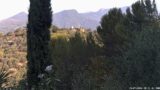 19/07/2026, 08:31