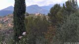 19/07/2026, 12:31