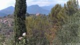 19/07/2026, 13:31