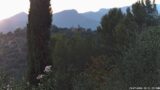 19/07/2026, 20:31