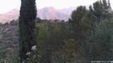 20/07/2026, 07:01