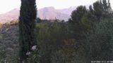 20/07/2026, 07:31