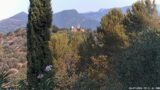 20/07/2026, 09:31