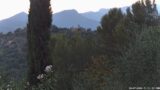 20/07/2026, 21:01