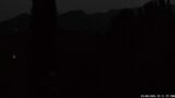 03/08/2026, 05:31