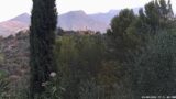 03/08/2026, 07:31