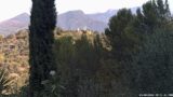 03/08/2026, 08:31