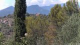 03/08/2026, 14:01